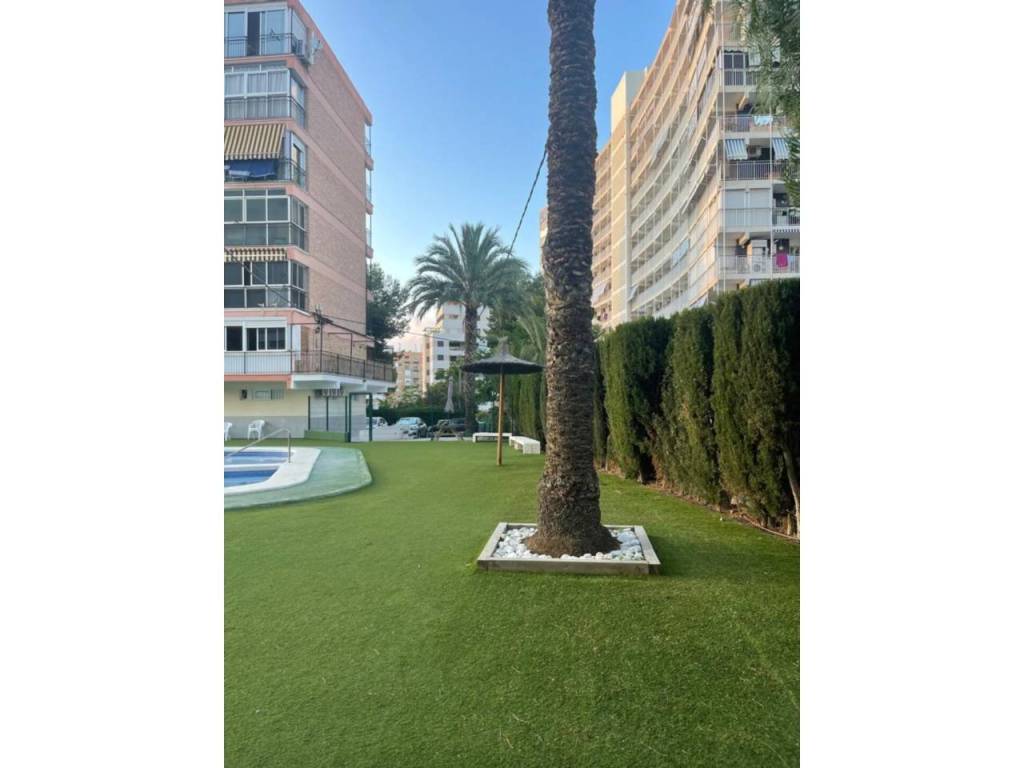Jardín