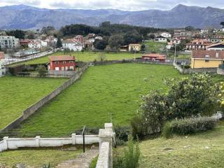 Jardín